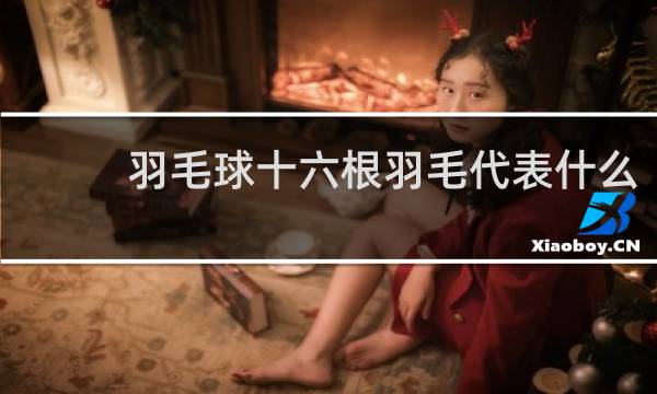 羽毛球十六根羽毛代表什么