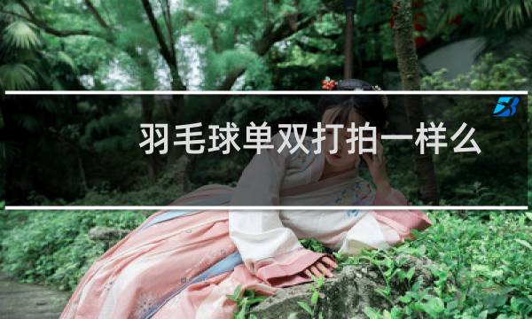 羽毛球单双打拍一样么