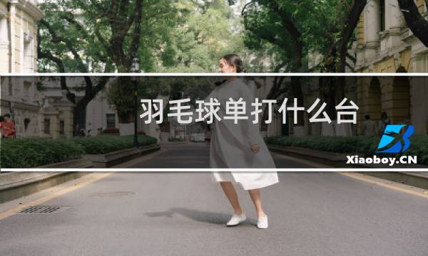 羽毛球单打什么台