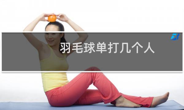羽毛球单打几个人