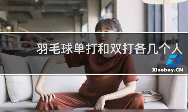 羽毛球单打和双打各几个人