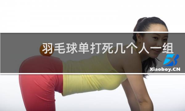 羽毛球单打死几个人一组