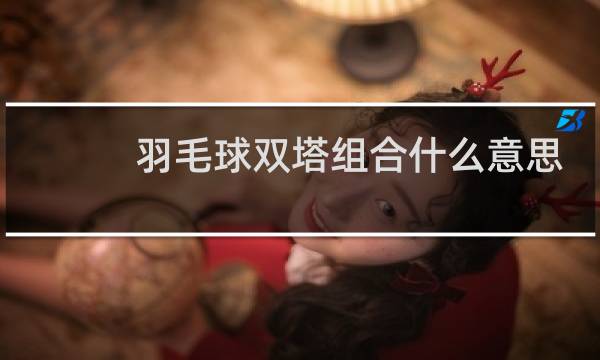 羽毛球双塔组合什么意思