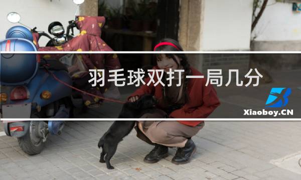羽毛球双打一局几分