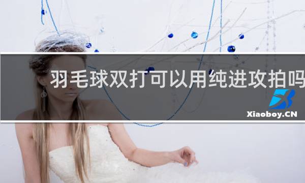 羽毛球双打可以用纯进攻拍吗