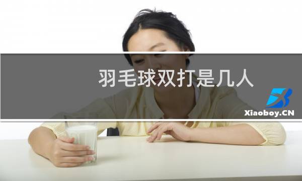 羽毛球双打是几人