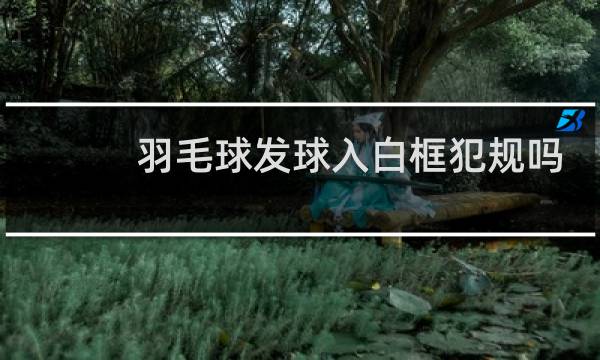 羽毛球发球入白框犯规吗