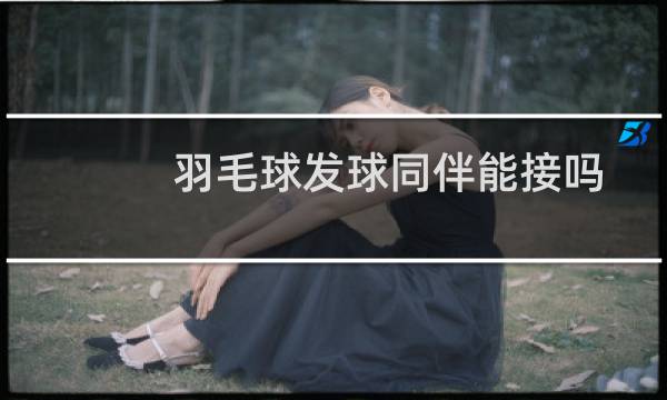 羽毛球发球同伴能接吗