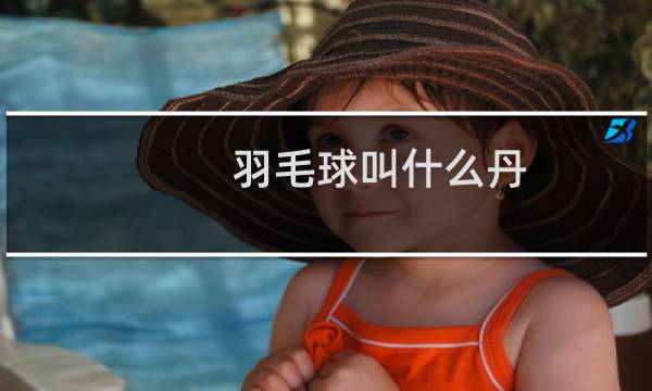 羽毛球叫什么丹