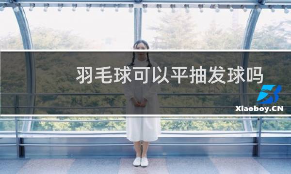 羽毛球可以平抽发球吗