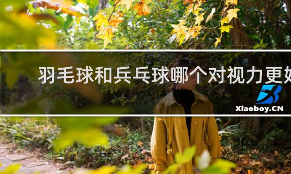 羽毛球和兵乓球哪个对视力更好