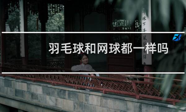 羽毛球和网球都一样吗