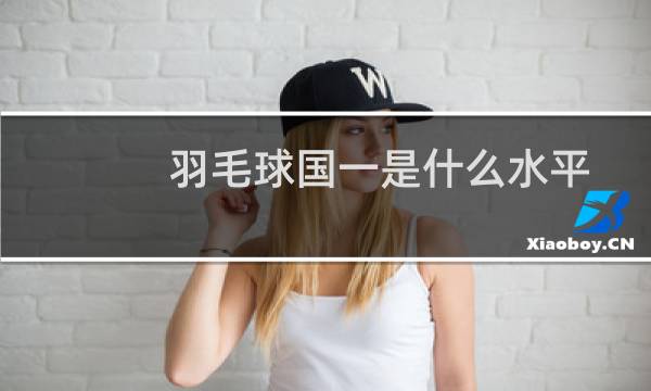 羽毛球国一是什么水平