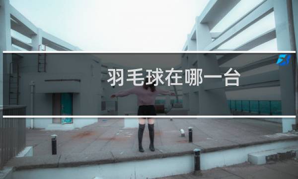 羽毛球在哪一台