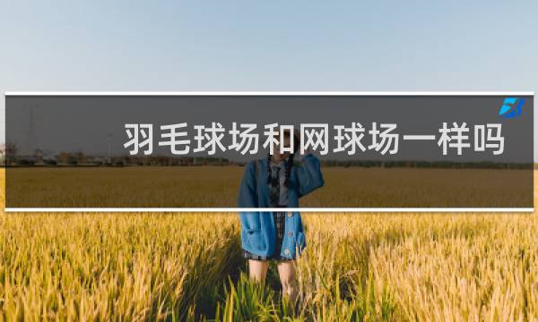 羽毛球场和网球场一样吗