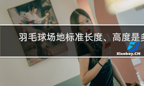 羽毛球场地标准长度、高度是多少