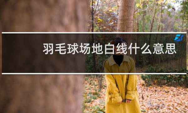 羽毛球场地白线什么意思