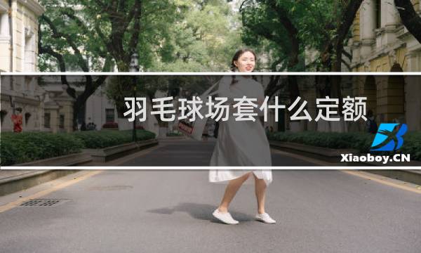 羽毛球场套什么定额