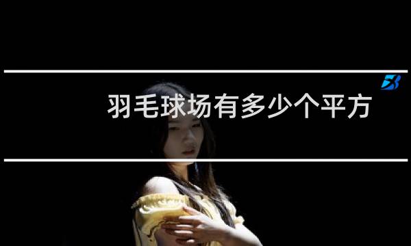 羽毛球场有多少个平方