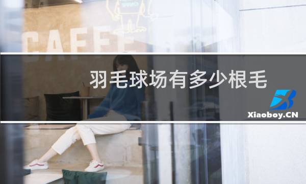 羽毛球场有多少根毛