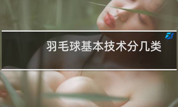 羽毛球基本技术分几类