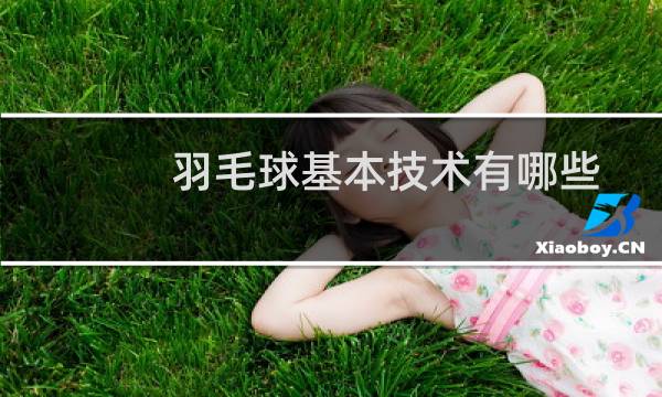 羽毛球基本技术有哪些