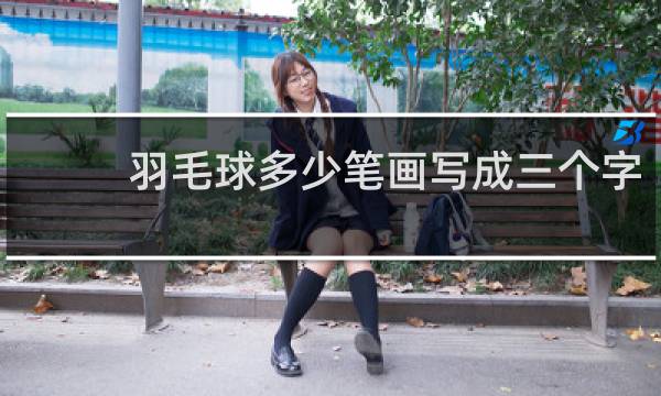 羽毛球多少笔画写成三个字