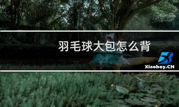 羽毛球大包怎么背