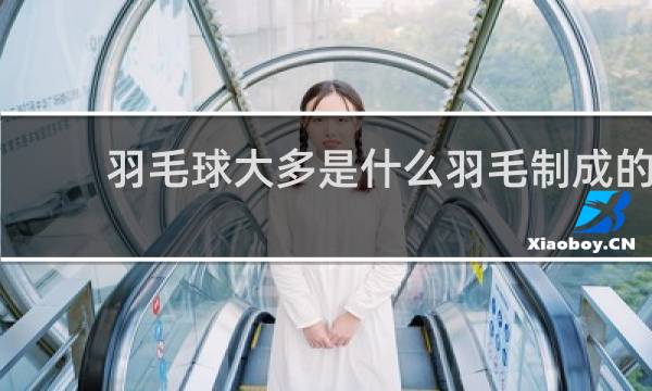 羽毛球大多是什么羽毛制成的