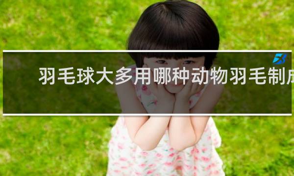 羽毛球大多用哪种动物羽毛制成