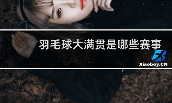 羽毛球大满贯是哪些赛事