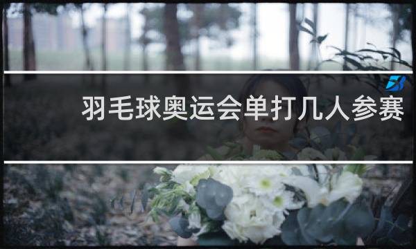 羽毛球奥运会单打几人参赛