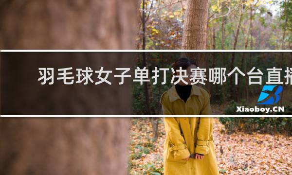 羽毛球女子单打决赛哪个台直播