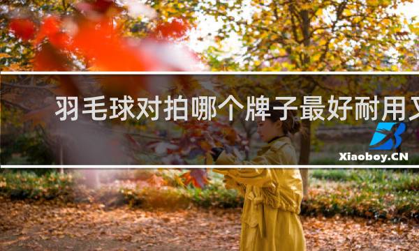 羽毛球对拍哪个牌子最好耐用又便宜