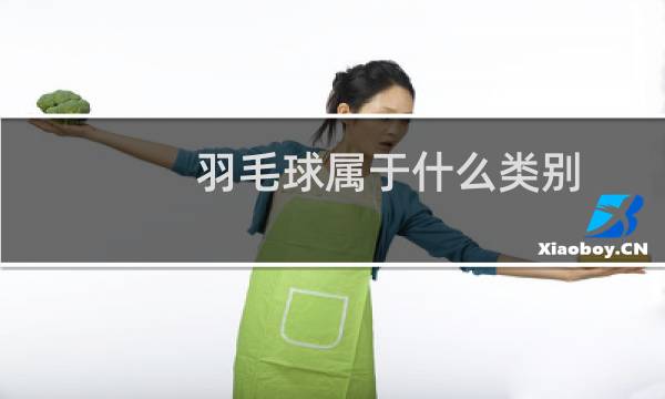 羽毛球属于什么类别