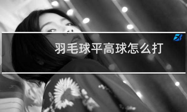 羽毛球平高球怎么打