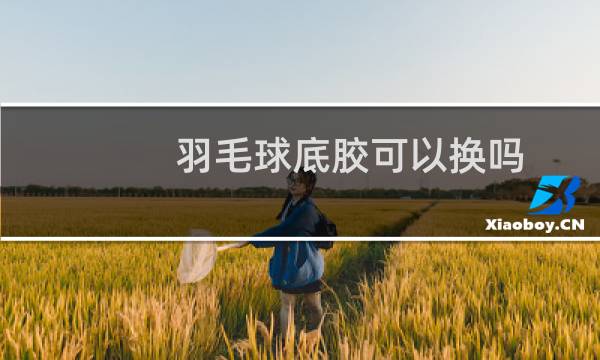 羽毛球底胶可以换吗