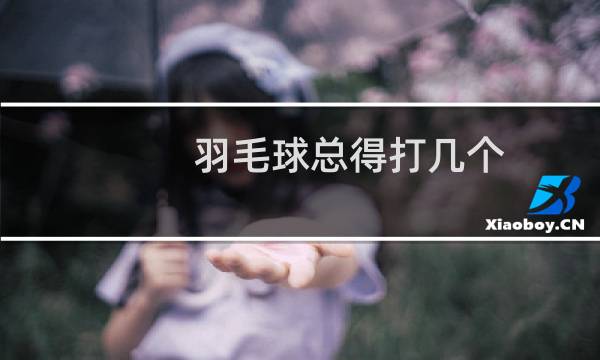 羽毛球总得打几个