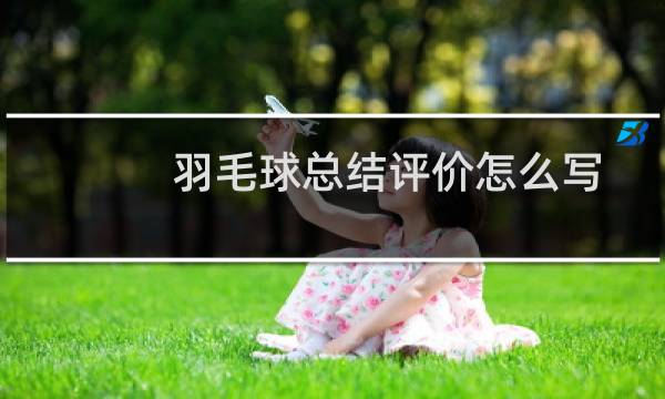 羽毛球总结评价怎么写