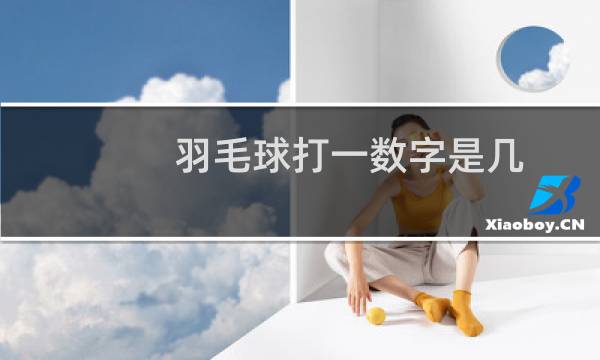 羽毛球打一数字是几