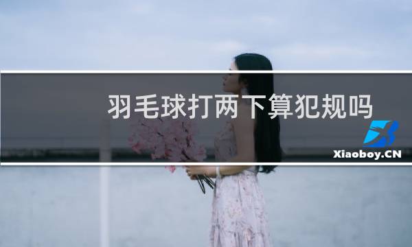 羽毛球打两下算犯规吗