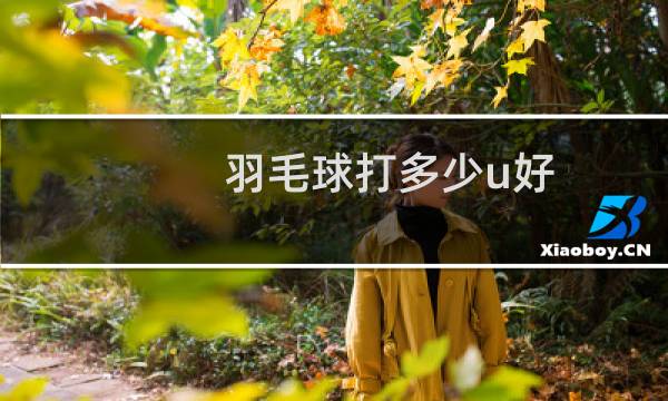 羽毛球打多少u好