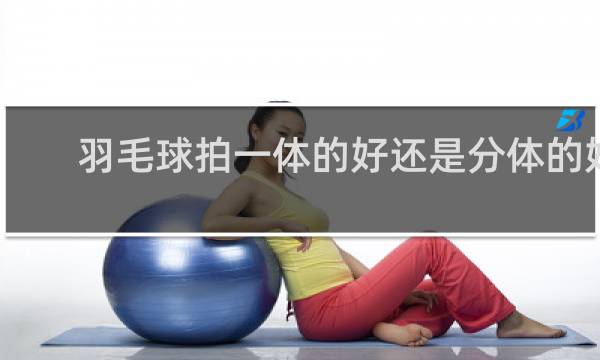 羽毛球拍一体的好还是分体的好