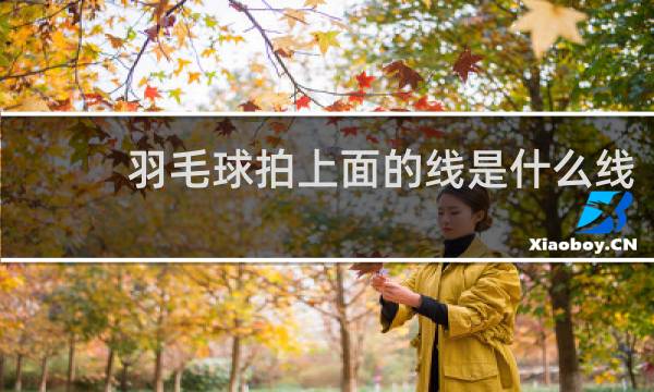 羽毛球拍上面的线是什么线