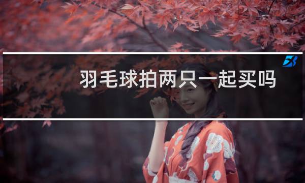 羽毛球拍两只一起买吗