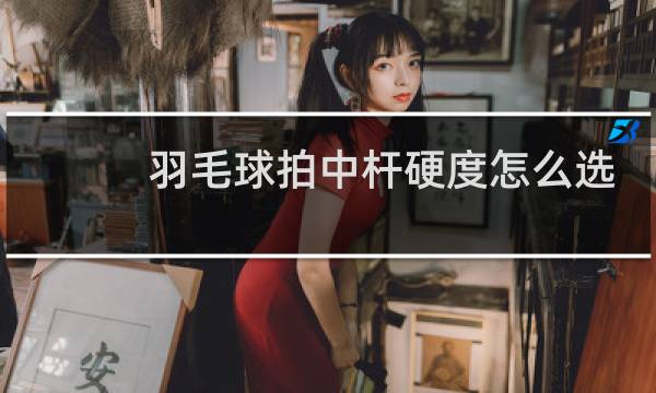 羽毛球拍中杆硬度怎么选