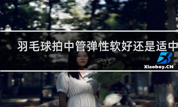 羽毛球拍中管弹性软好还是适中好