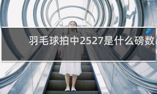 羽毛球拍中2527是什么磅数