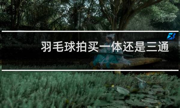 羽毛球拍买一体还是三通