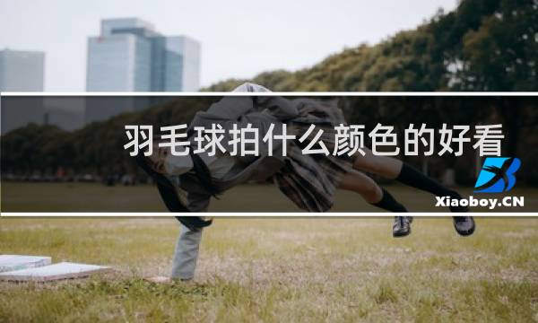 羽毛球拍什么颜色的好看